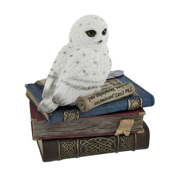 Wise Snow Owl Resting on Scholar`s Books Trinket Box - Picture 1 of 5